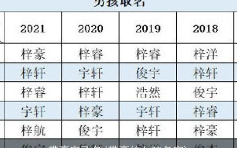 带豪字乳名(带豪的女孩名字)