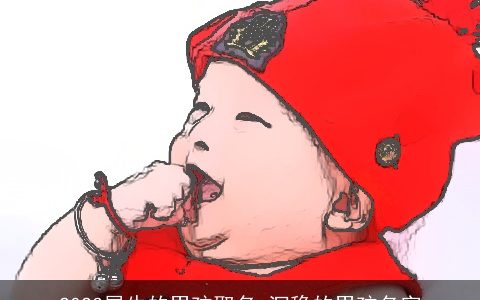 2023属牛的男孩取名 沉稳的男孩名字