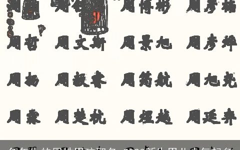 龙年生的周姓男孩取名 2024新生男儿大气起名