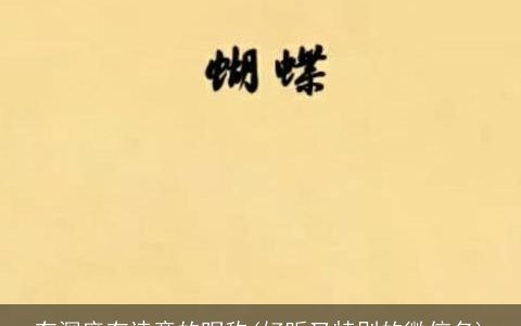 有深度有诗意的昵称(好听又特别的微信名)