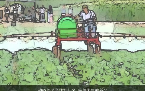 种植养殖合作社起名 简单大气的新公司名字大全 简单大气的公司名字精选