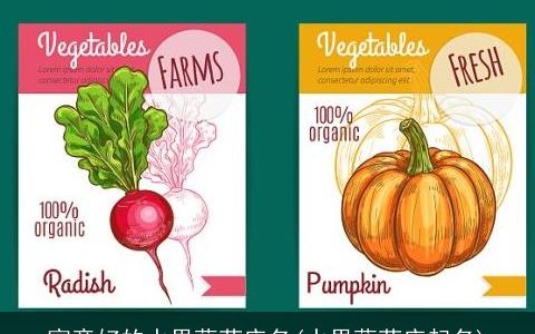 寓意好的水果蔬菜店名(水果蔬菜店起名)