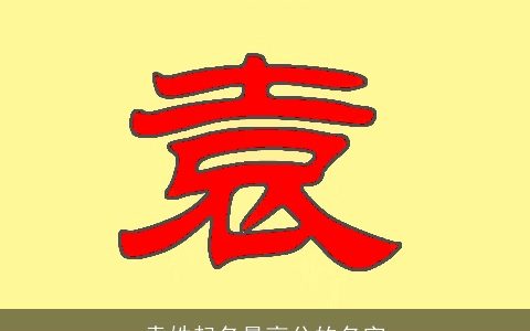 袁姓起名最高分的名字