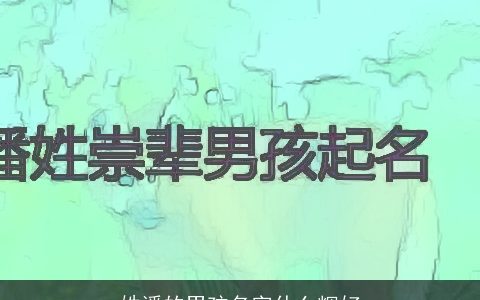 姓潘的男孩名字什么辉好