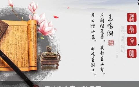 姓王的两个字男孩名字