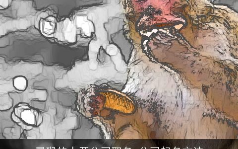 属龙的人开公司取名 公司起名方法