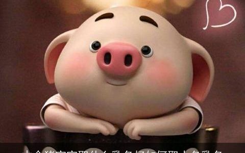 木命猪宝宝取什么乳名好如何取小名乳名