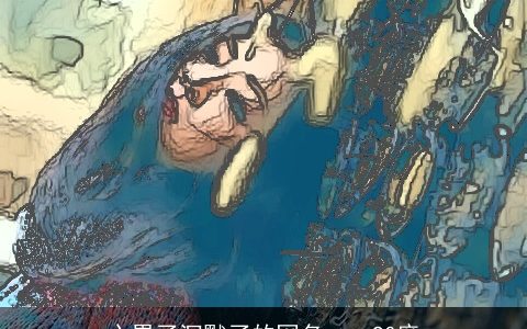 心累了沉默了的网名 tan90度