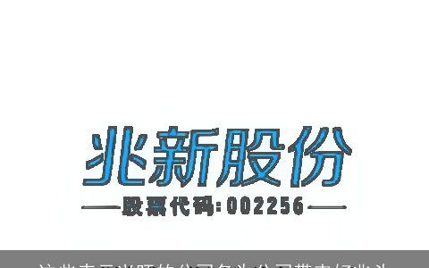 这些表示兴旺的公司名为公司带来好兆头