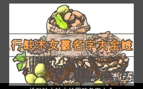 姓张缺木缺火的男孩名字大全