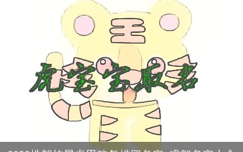 2023姓贺的属虎男孩怎样取名字 睿智名字大全