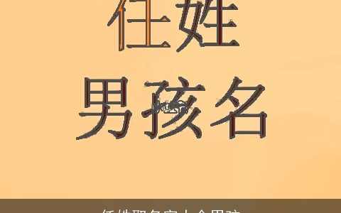 任姓取名字大全男孩