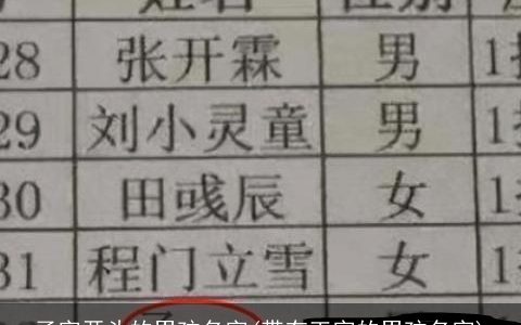 子字开头的男孩名字(带有王字的男孩名字)
