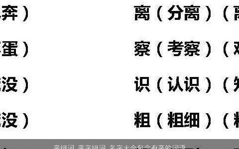 亲组词 亲字组词 名字大全包含有亲的词语成语 2023有涵养洋气的成语名字大全最新