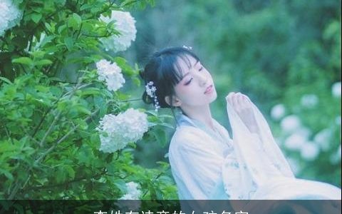 李姓有诗意的女孩名字