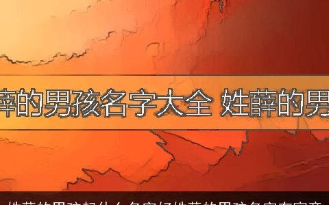 姓薛的男孩起什么名字好姓薛的男孩名字有寓意