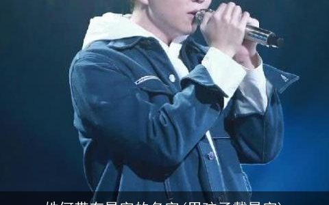 姓何带有昊字的名字(男孩子戴昊字)