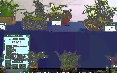 园艺公司起名 小清新的公司起名