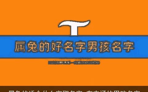 属龙的适合什么字取名字 有内涵的男孩名字