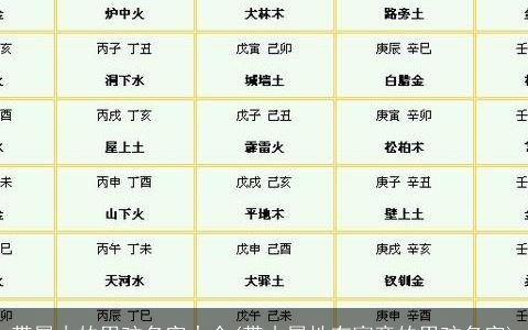 带属木的男孩名字大全(带木属性有寓意的男孩名字)