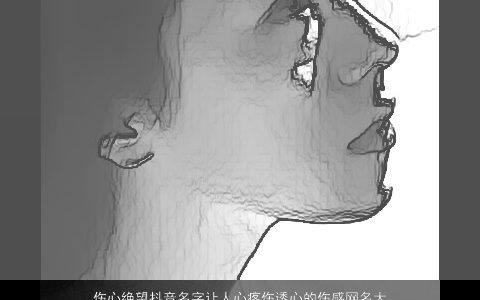 伤心绝望抖音名字让人心疼伤透心的伤感网名大全 2023帅气伤感的抖音网名名字大全精挑