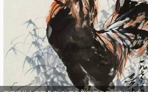 属鸡用什么字取名字好(鸡年男孩取名字寓意好的字)