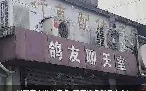 以莱字主题的店名(莱字取名起名大全)