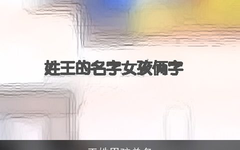 王姓男孩单名