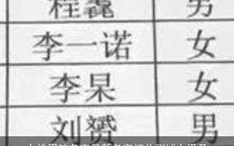 卜姓男孩名字最新名字打分测试卜泽圣
