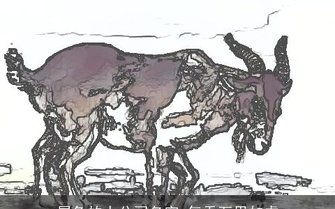 属兔的人公司名字 气吞万里如虎