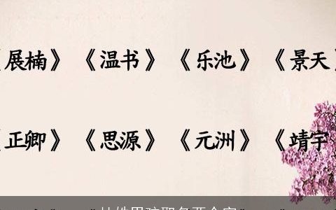 杜姓男孩取名两个字