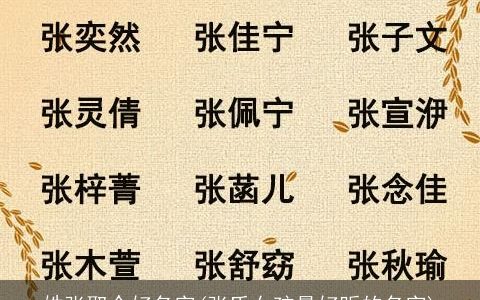 姓张取个好名字(张氏女孩最好听的名字)