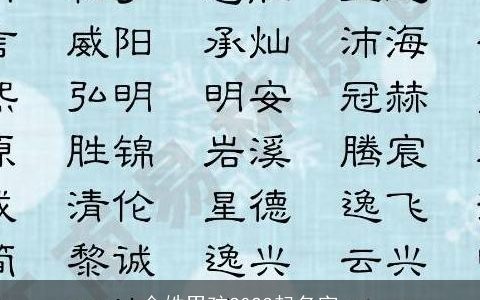 金姓男孩2023起名字