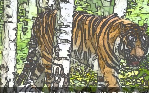 虎宝宝起名 优雅贵气的韩国男孩名字推荐