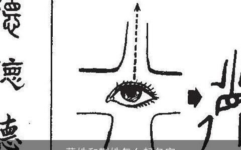 薛姓和荆姓怎么起名字