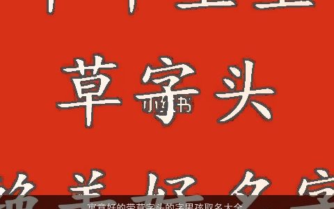 寓意好的带草字头的字男孩取名大全 好听寓意的带草字男孩名字大全最新