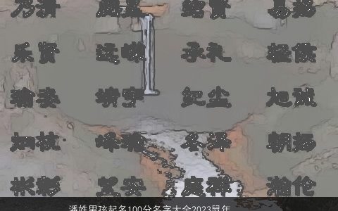 潘姓男孩起名100分名字大全2023鼠年潘皓羽 有涵养新颖的潘姓男孩鼠名字大全最新