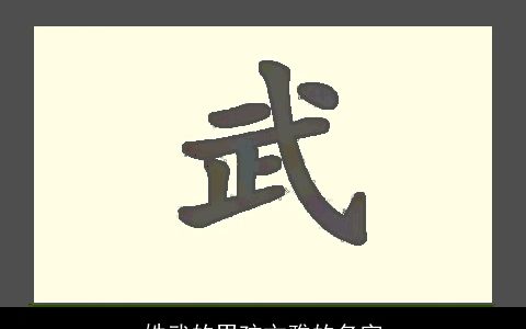 姓武的男孩文雅的名字