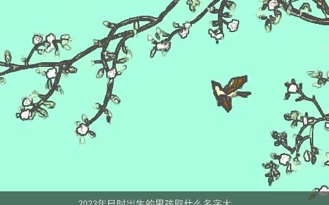 2024年巳时出生的男孩取什么名字大全 吉利有寓意 吉利寓意的男孩名字大全