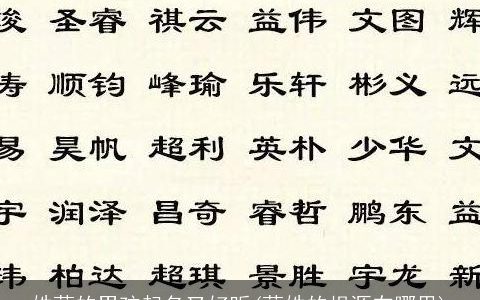 姓蔚的男孩起名又好听(蔚姓的根源在哪里)