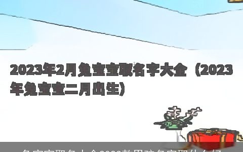 兔宝宝取名大全2024款男孩名字取什么好
