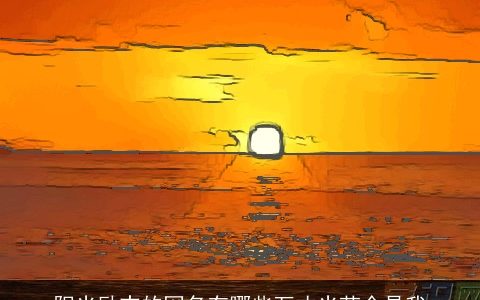 阳光励志的网名有哪些万丈光芒全是我