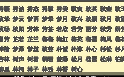 起名属火的字(五行属水女孩名字大全)