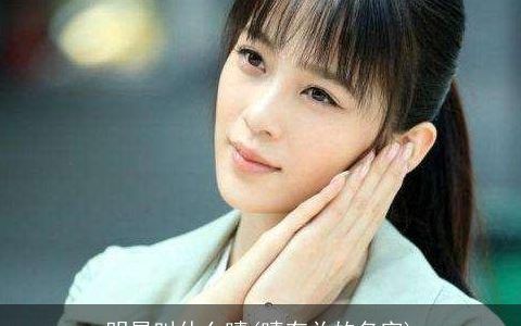 明星叫什么晴(晴有关的名字)