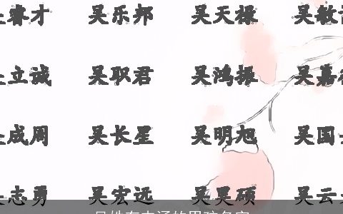 吴姓有内涵的男孩名字