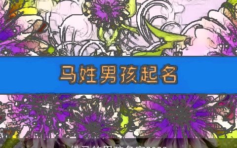 姓马的男孩名字2024
