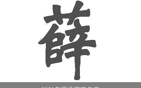 2023年薛姓宝宝名字