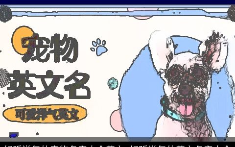 好听洋气的宠物名字大全英文 好听洋气的英文名字大全