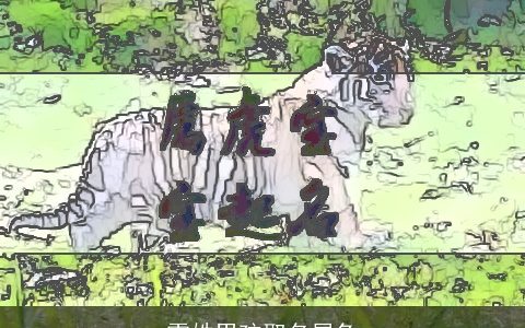 雷姓男孩取名属兔