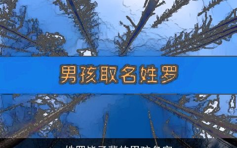 姓罗毕子辈的男孩名字